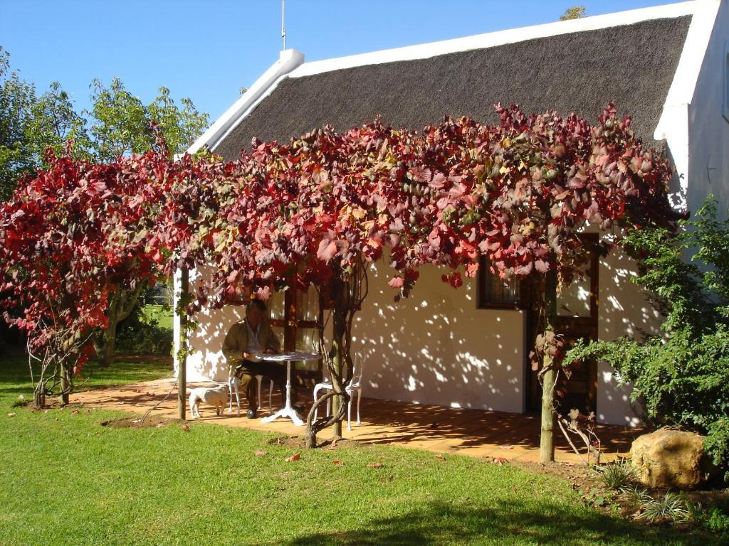 De Doornkraal Vinotel Riversdale Oda fotoğraf